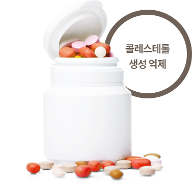 콜레스테롤 생성 억제