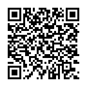 씨테크솔루션 | 세이피(SAFEE) 다국어 모바일 안전교육 솔루션