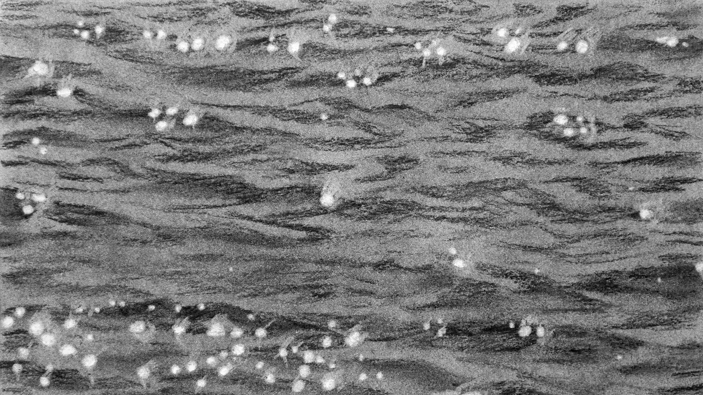 Jimin Lim: Fly Away Like a Bird