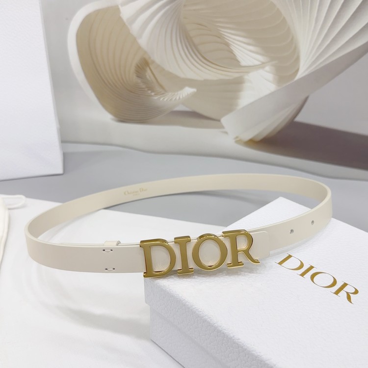 디올 디 드림 골드 벨트