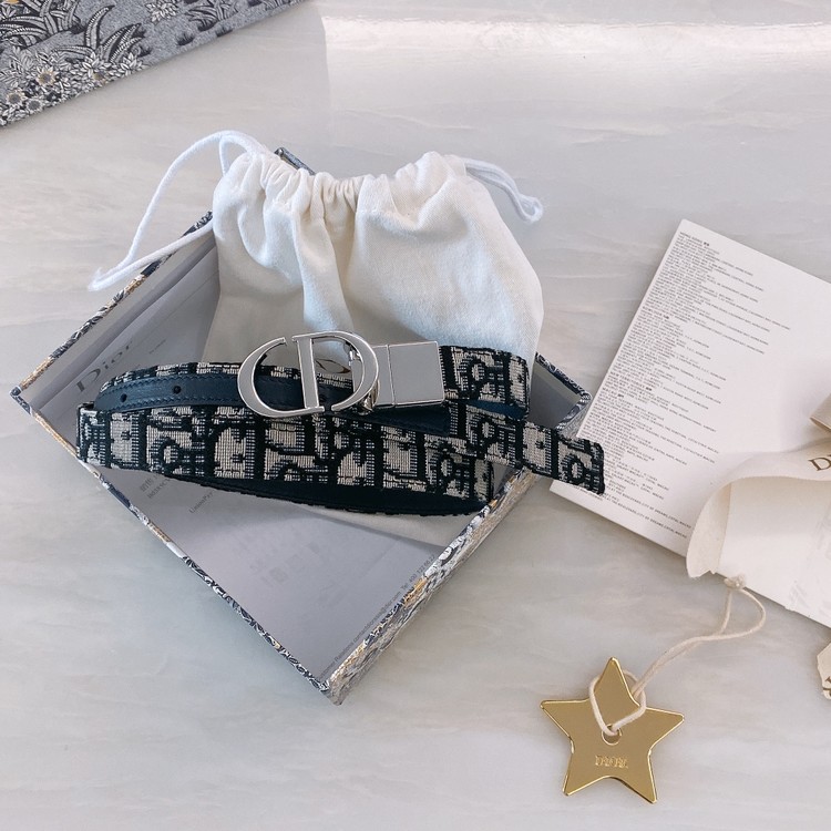 디올 30 몽테인 오블리크 자카드 실버 벨트