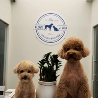 아이조아보호소 하남센터