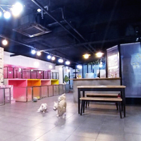 아이조아보호소 부산경남센터