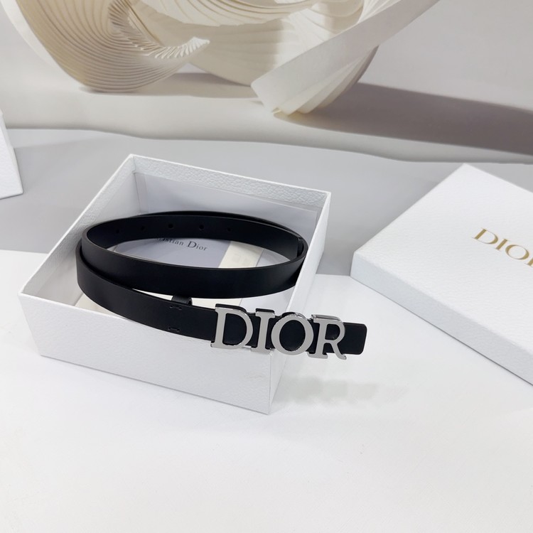 디올 디 드림 실버 벨트