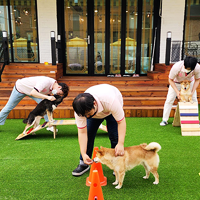 아이조아보호소 서울센터