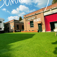 아이조아보호소 수원동탄센터