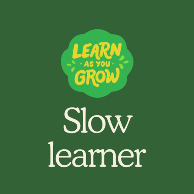 느린학습자 연구 김샘 slp