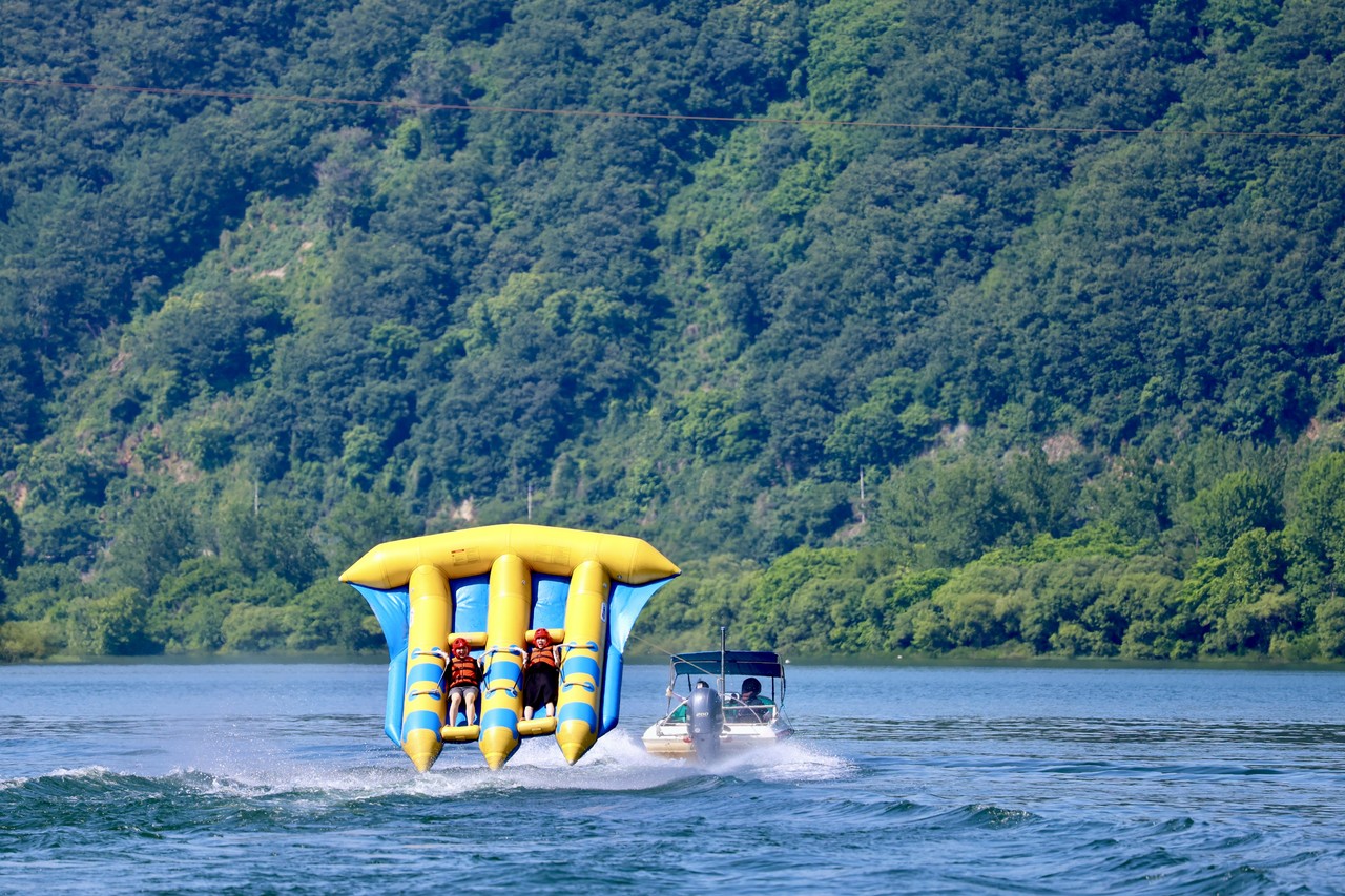 <strong>Flying Fish</strong></h6>