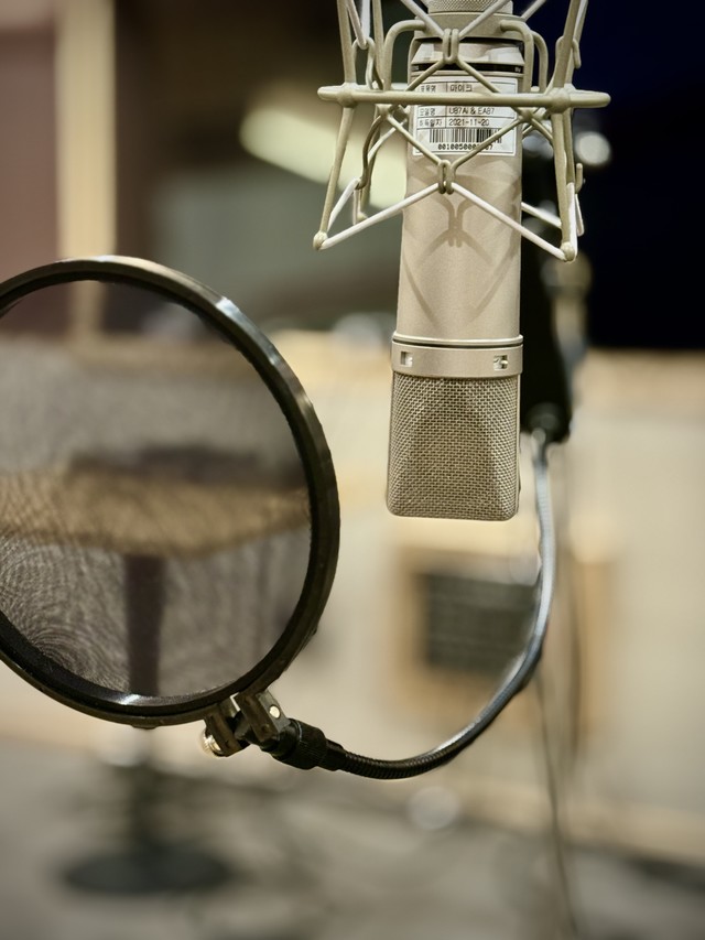 <p style="text-align:left; font-size:16px; margin-top:26px;">WHITE PLATES<br><span style="color:#666;">₩ 50,000</span></p>