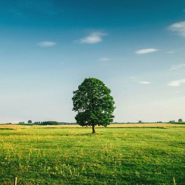 영덕 보조구장 야외무대(테스트)
