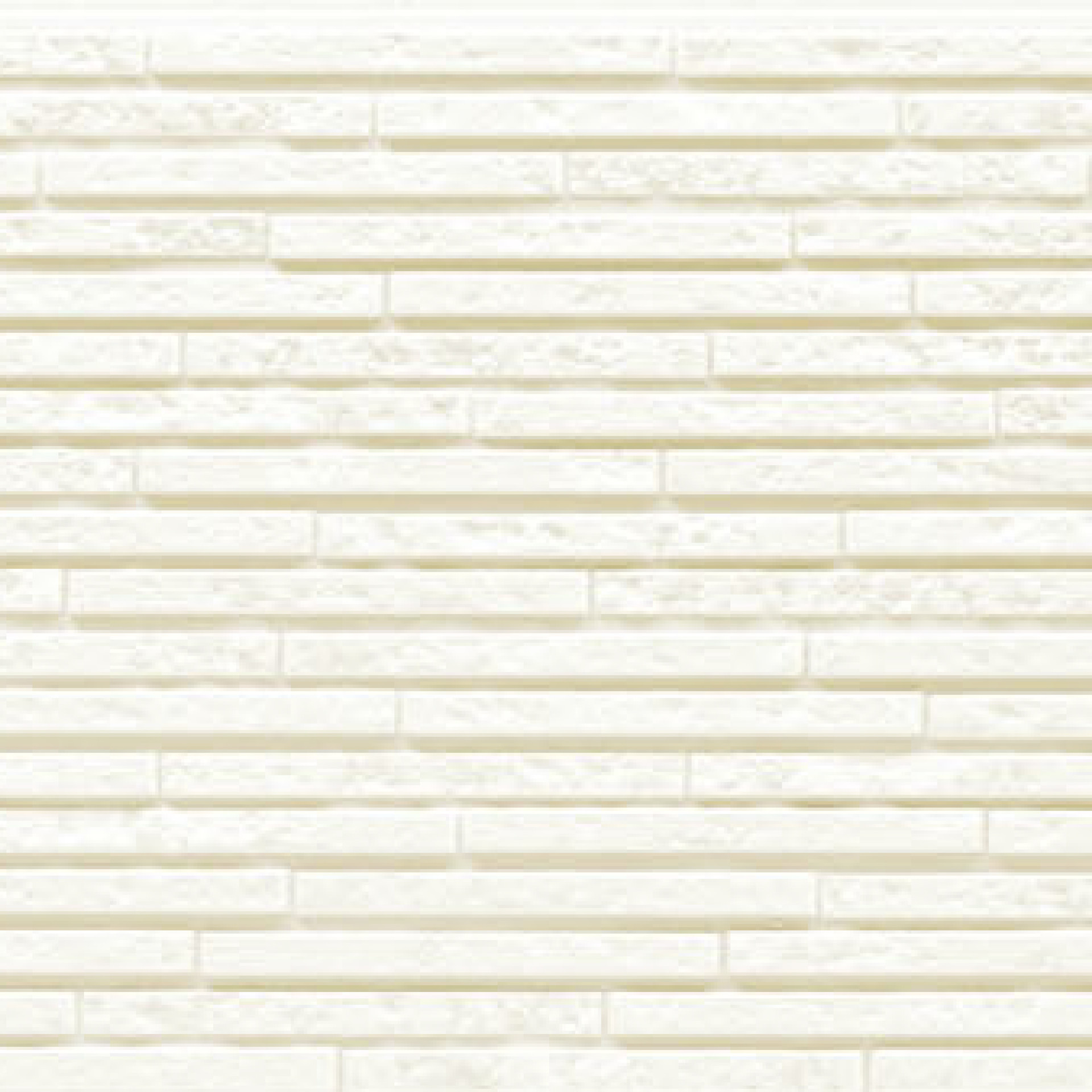 시크보더 마치화이트 ㅣ NW3741