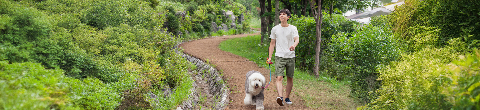 공지사항 (Announcement)