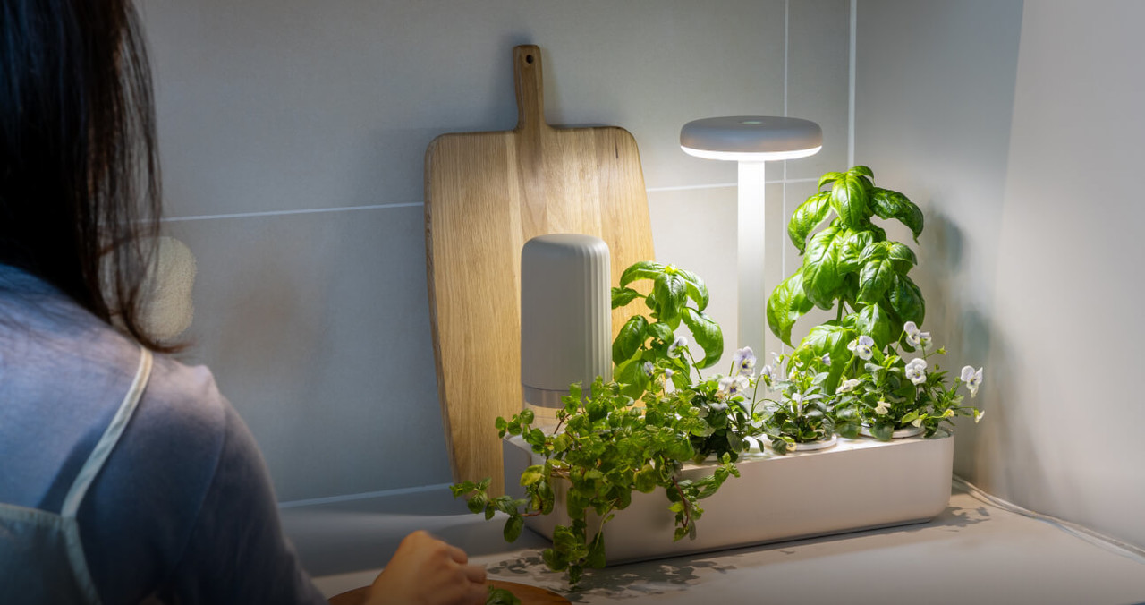 <strong>주방에서</strong>