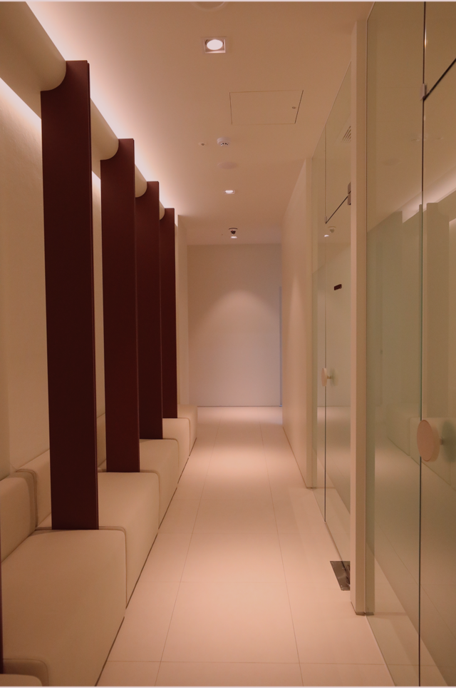 <div style=" font-family: 'Noto Serif KR', serif; font-weight: 700;">Anti-aging</div>