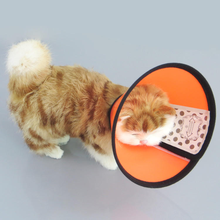 #Vet Series Elizabeth Collars : BORTON