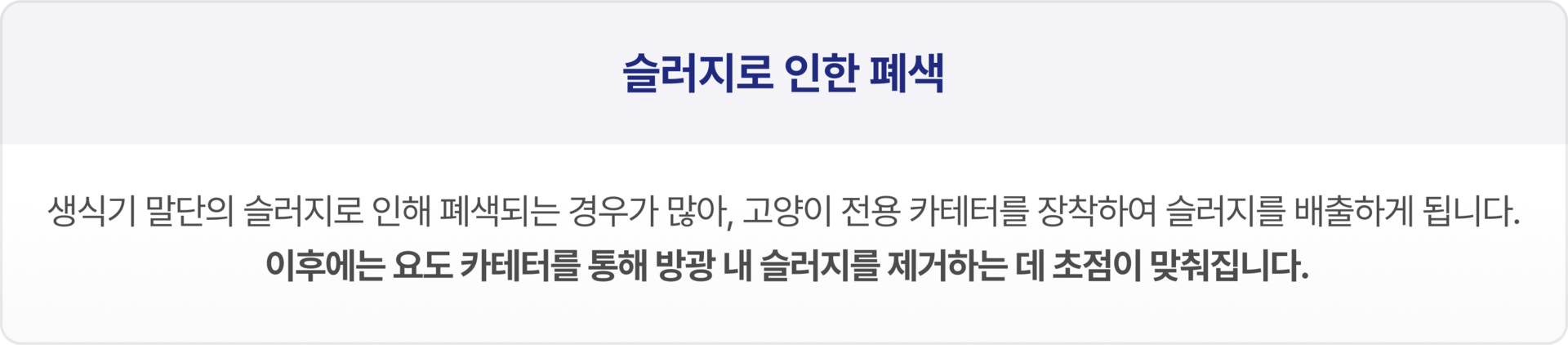 내과적 치료. 전신 상태가 비교적 안정적이고, 폐색이 일시적이거나 부분적인 경우 약물치료, 수액요법, 항생제 치료 등을 통해 염증을 가라앉히는 접근을 시도할 수 있습니다. 담낭 절제술, 총담관 세정술, 필요시 담도 제거술까지 포함될 수 있으며, 환자 상태에 따라 복합적으로 진행됩니다.