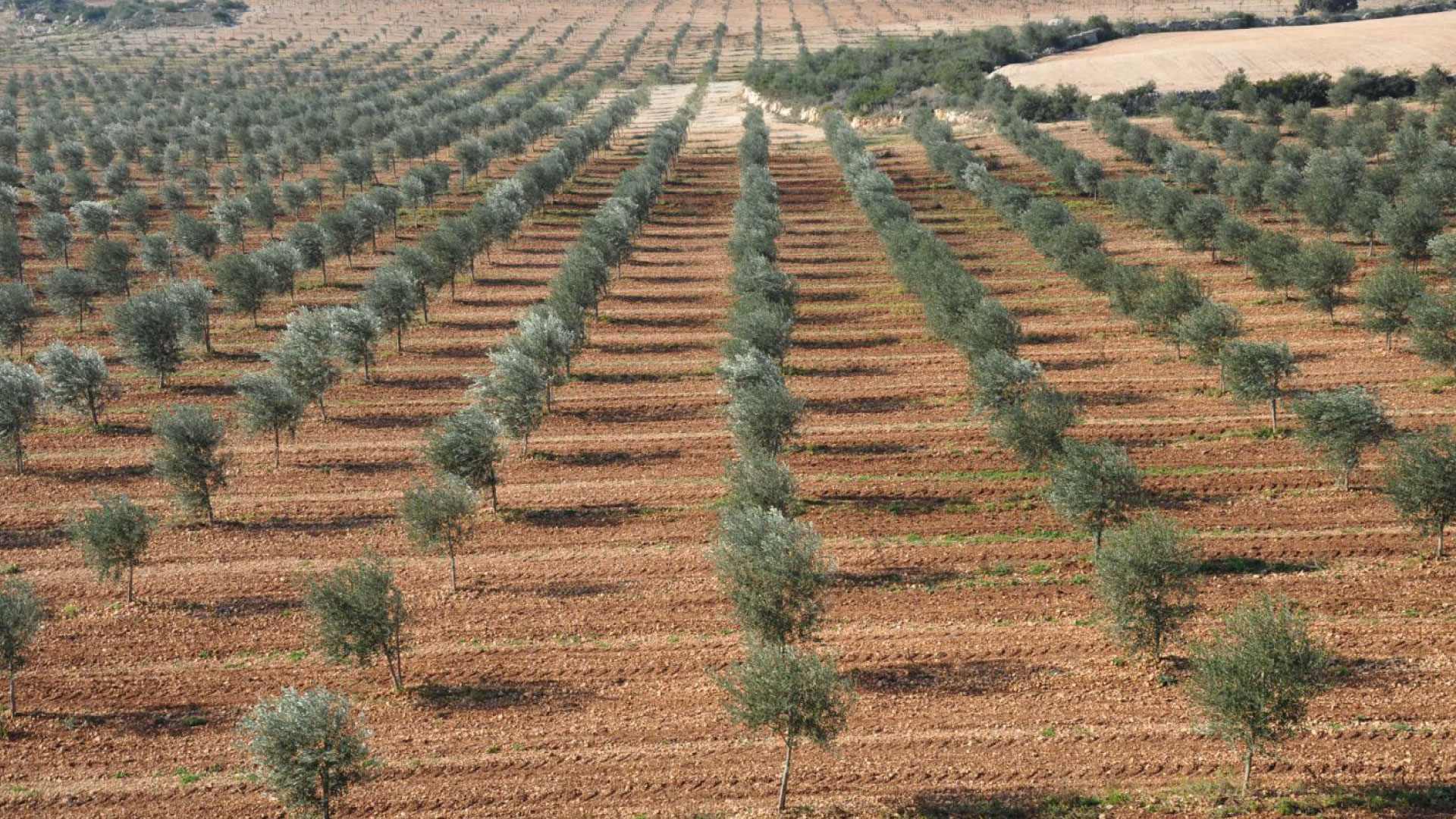 Reference | Netflix '케이팝 데몬 헌터스'