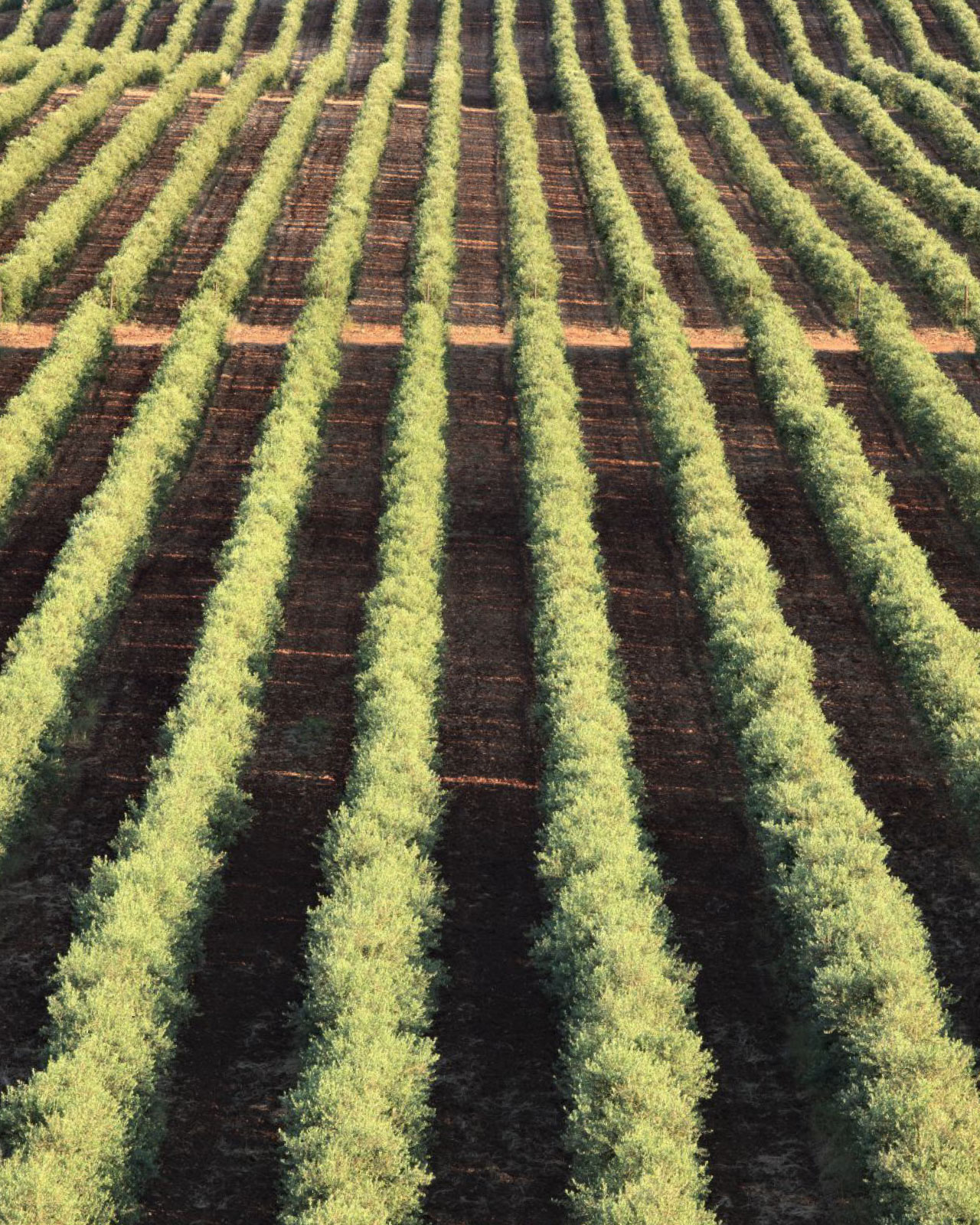 기획전 소개 이미지