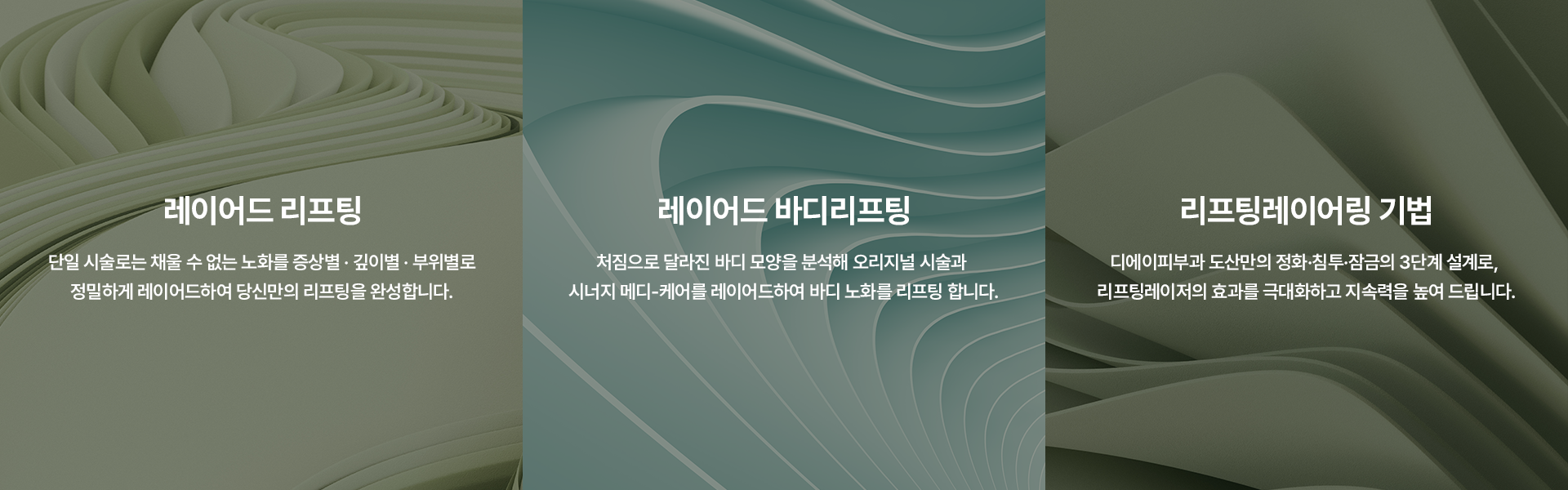 레이어드 리프팅 기법들