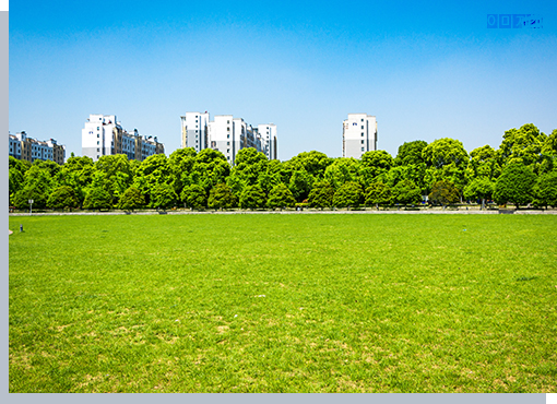 <span style="font-size: 20px;"><span style="color: rgb(15, 45, 83);"><b>친자연적 환경 (숲세권/공세권)</b></span></span>  <br><span style="font-size: 13px;">금정산, 금강공원/식물원, 동래사적공원, 온천천 등 <br>쾌적한 자연환경을 도보로 누릴 수 있는 자연적 환경. (반경 2km 이내) </span> 