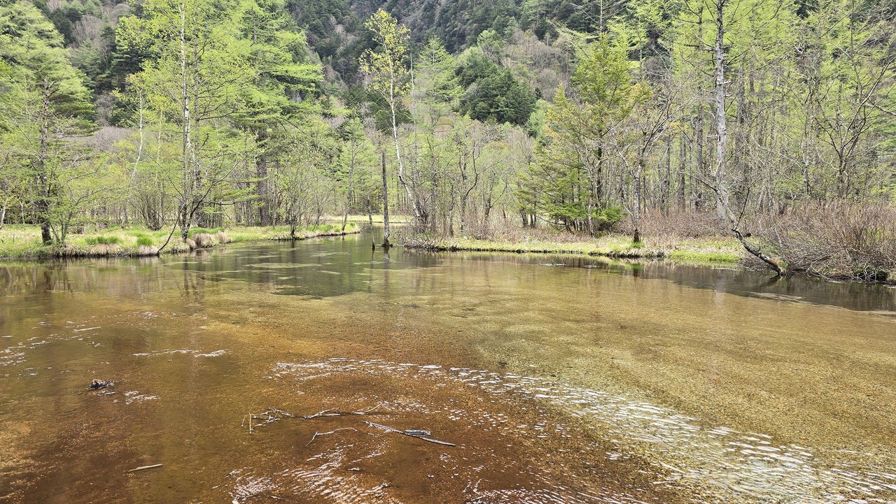 알펜루트 가을 단풍 봄 설벽 쿠로베협곡 가을여행 소규모 일본 고품격여행 효도여행 알펜루트4박5일