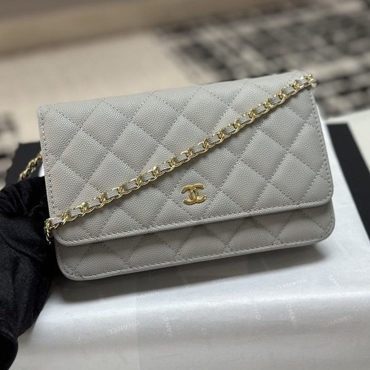 샤넬 25c 크루즈 WOC 미니백