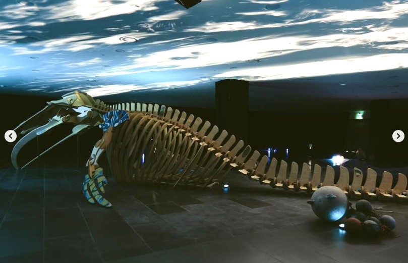 개막작품 강재준 작가<고래낙하>