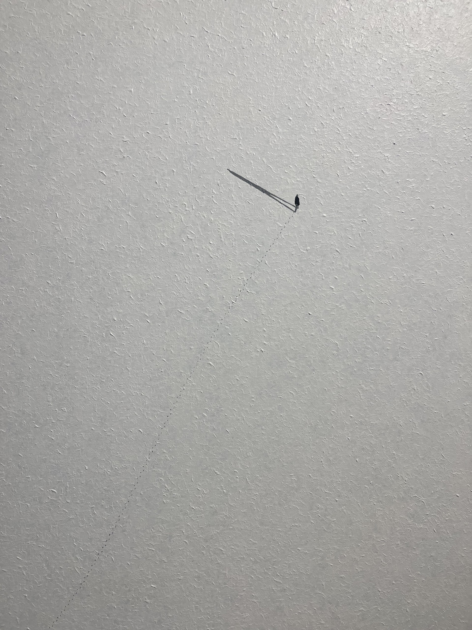 Walking Alone, 162.2x130.3cm, 2025