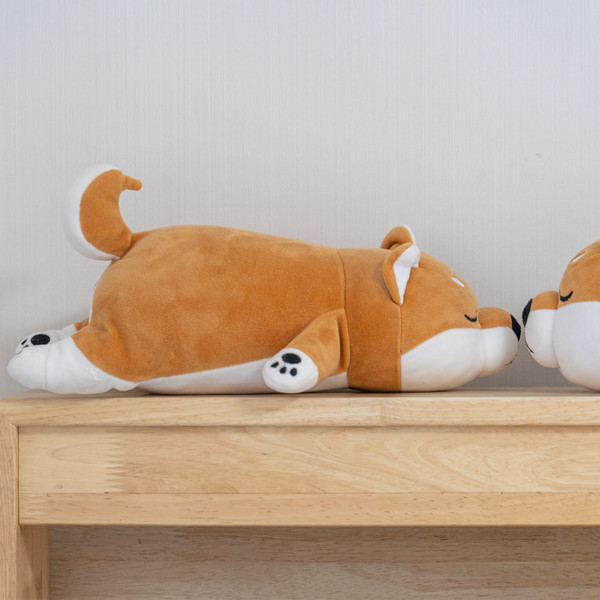 예약 상품 이미지