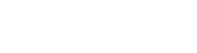 새로솔루션