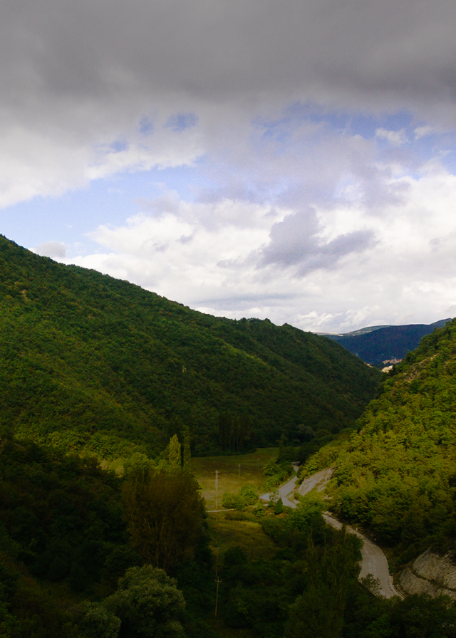 <div class="relevance"> <div class="relevance-title">Sensory</div>  <div class="relevance-text">당신의 제품이나 서비스는 어떻게 보이나요? 어떻게 느껴지고, 들리며, 어떤 향을 갖고 있나요? 모든 것에는 감각적 차원이 존재합니다. 그 감각을 발견하세요. <div class="relevance-btn">자세히 보기</div></div> </div>