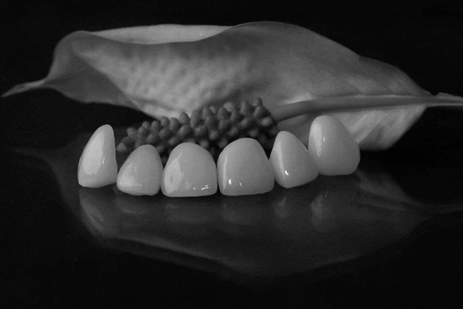 은계치과-시흥은행동치과-클리어치과-심미센터-첨단디지털장비