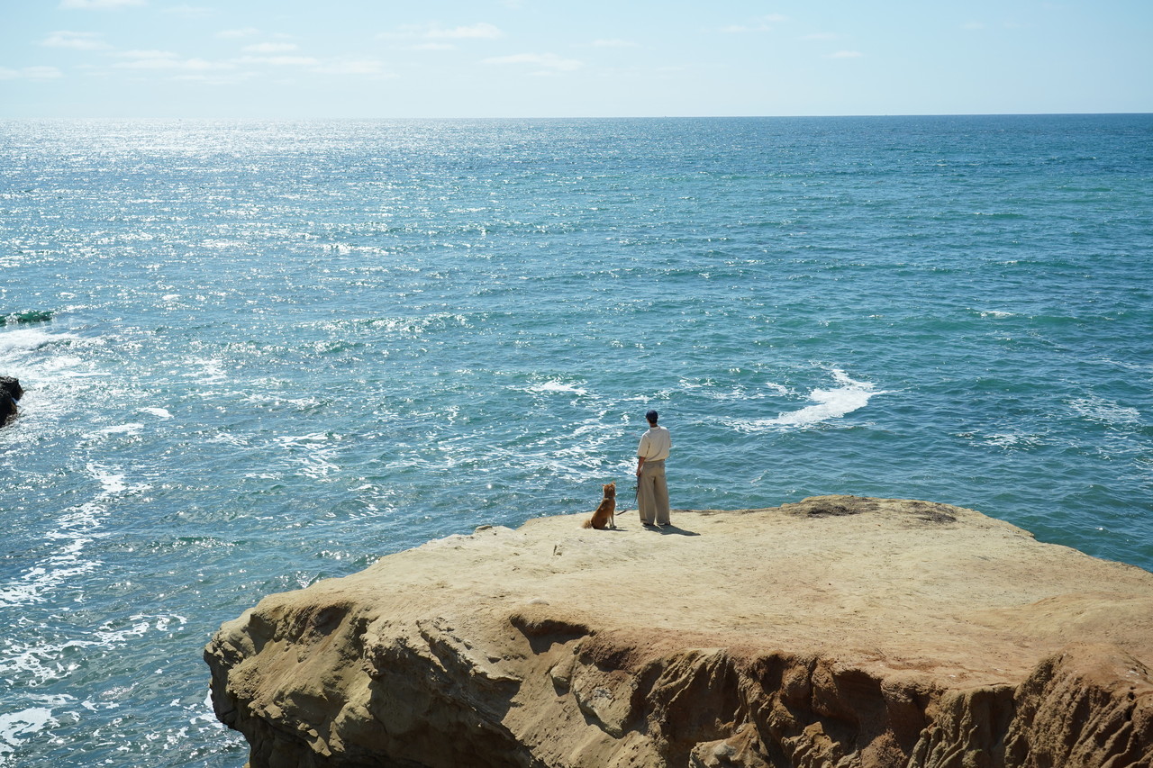 <div class="serif-h2-semibold">Car Seat</div>