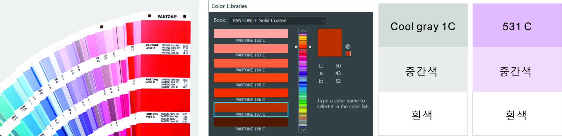 pantone solid coated