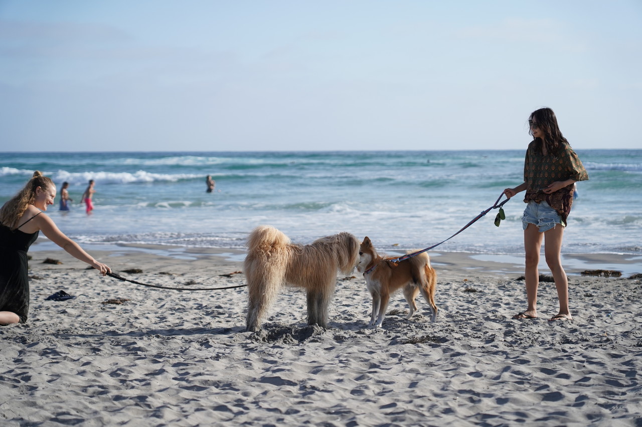 <div class="serif-h2-semibold">Genari</div>