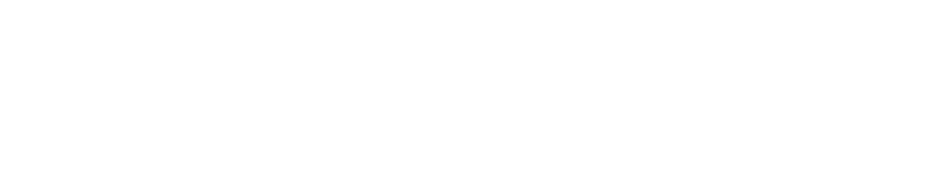 선명
