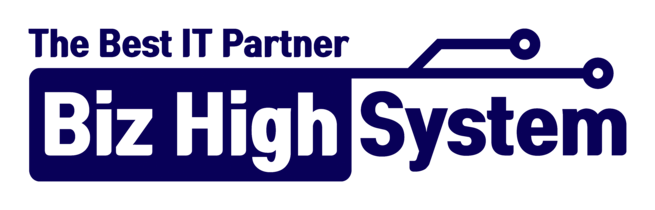 비즈하이시스템