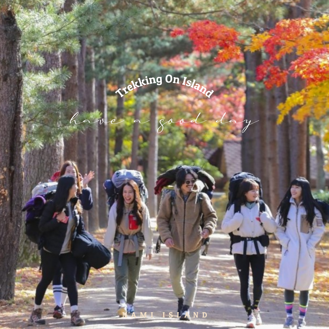 남이섬 숲에서 만나는 특별한 하룻밤  캠핑부터 트레킹, 액티비티 이용권에  까페&레스토랑 할인까지    햇살을 따라 걷는 숲길  나무 사이로 불어오는 선선한 바람  자연 속에서 쉼과 힐링을 온몸으로 느껴보세요.  운영 기간: 매주 토요일 및 공휴일  문의: 031-582-8092