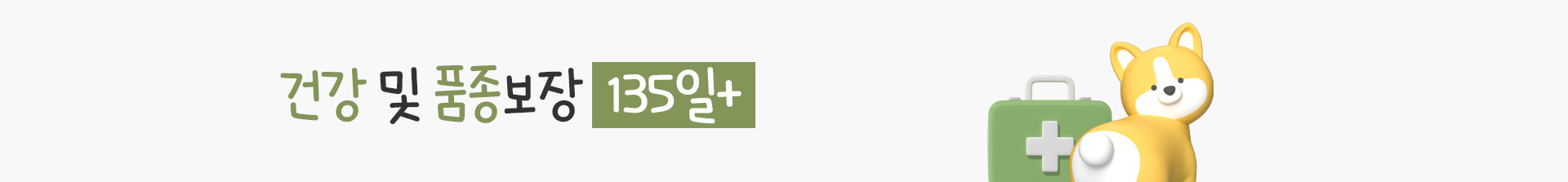 건강 및 품종정보