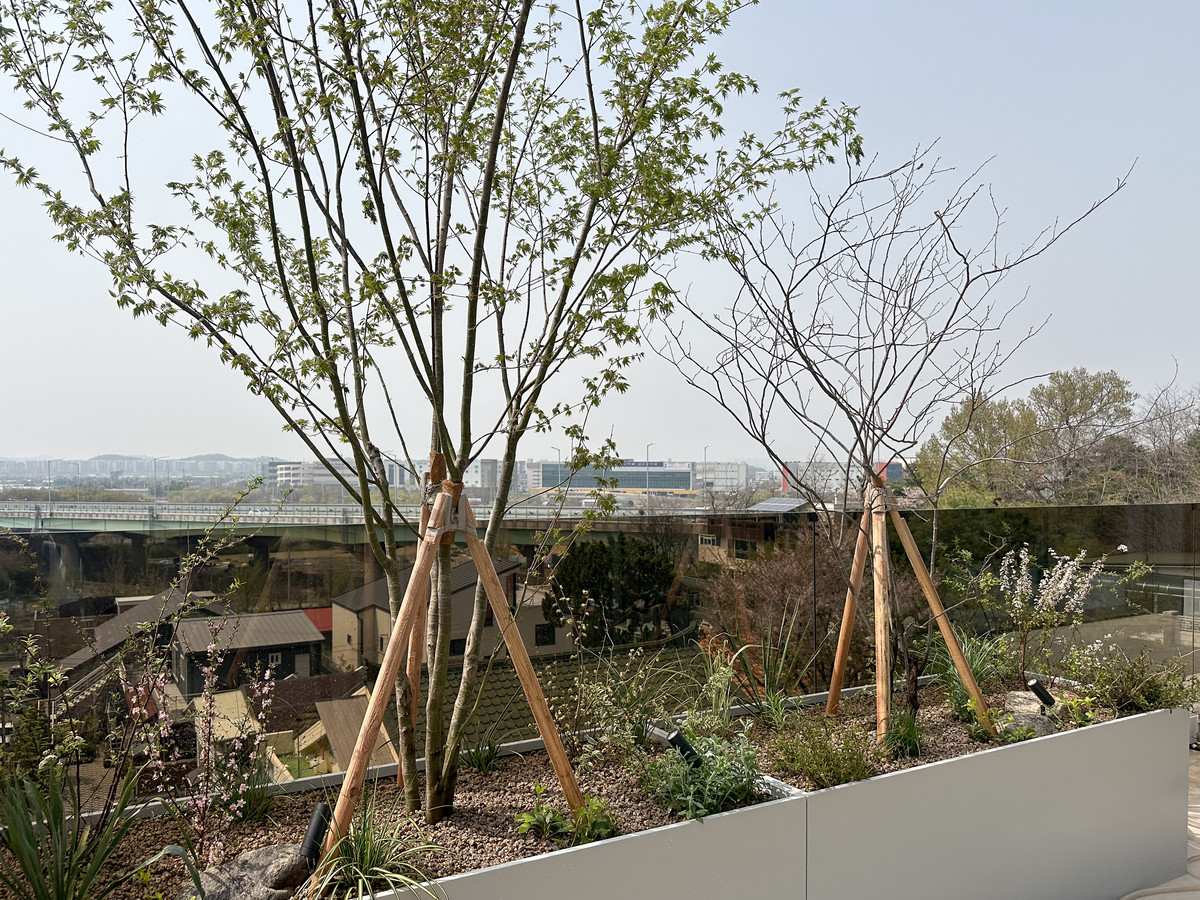 Gaehwa-dong House Terrace│조경설계, 시공 : ANOTHER GARDEN PROJECTS