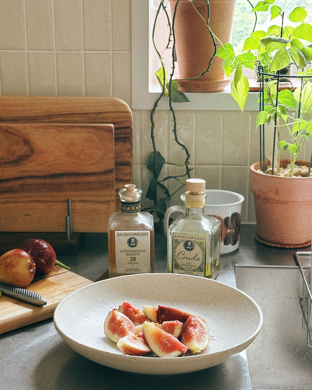 인플루언서 추천 이미지