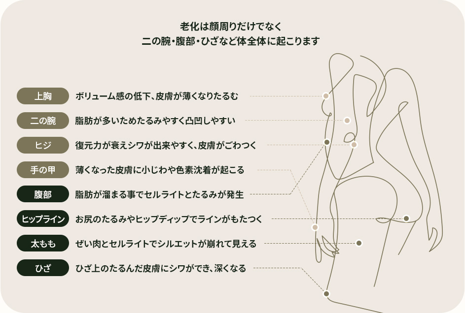 老化は顔周りだけでなく 二の腕・腹部・ひざなど体全体に起こります