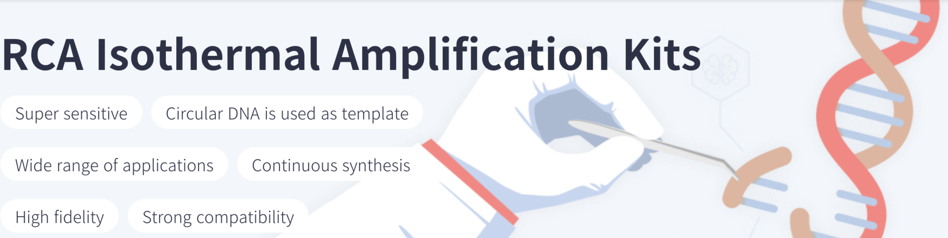 RCA Isothermal Amplification Kits