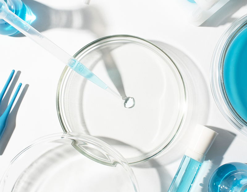 연구 · 개발 기반 SPECIAL 기업