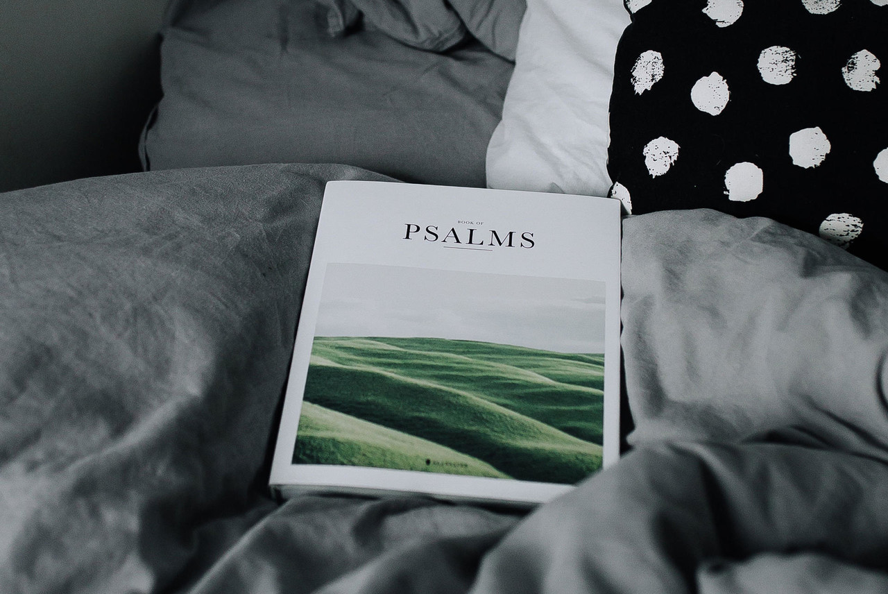 <br><h4>책, 한 권의 사유</h4>