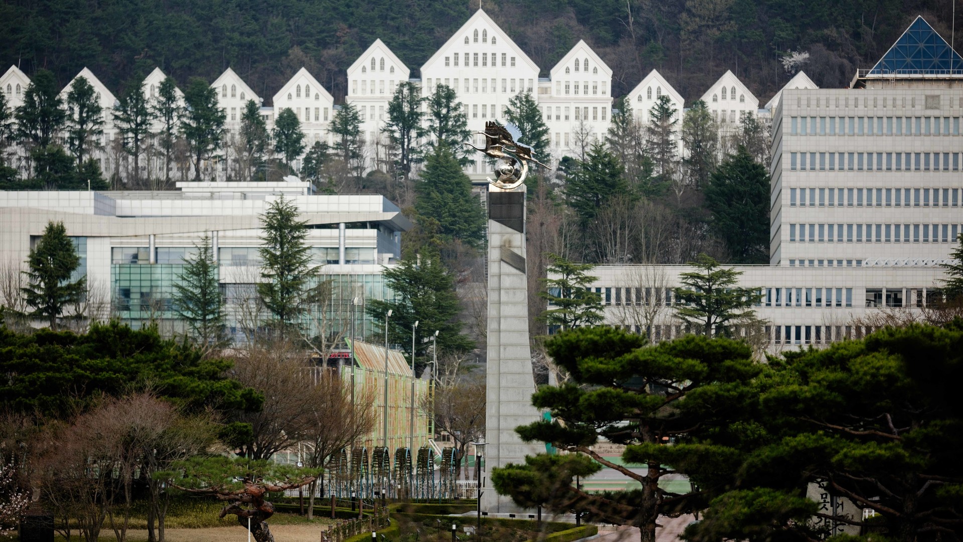 김도균, 조선대학교 동물 동상