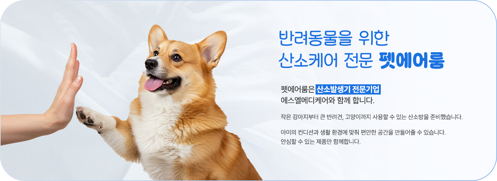 산소방 전문 브랜드, 소형 강아지부터 대형견, 고양이까지 다양한 체형에 맞는 산소방을 제공하며 수술 후 회복, 호흡기 질환, 고령 반려동물의 호흡 관리를 위해 만들어졌습니다.