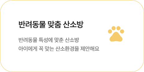반려동물 맞춤 산소방