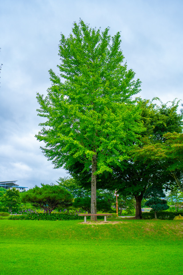 산운생태공원 전경