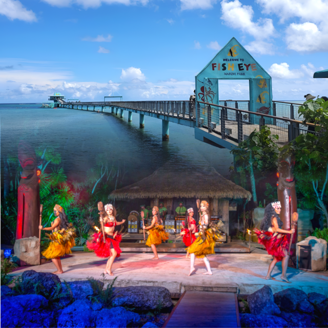 괌 피쉬아이 디너쇼